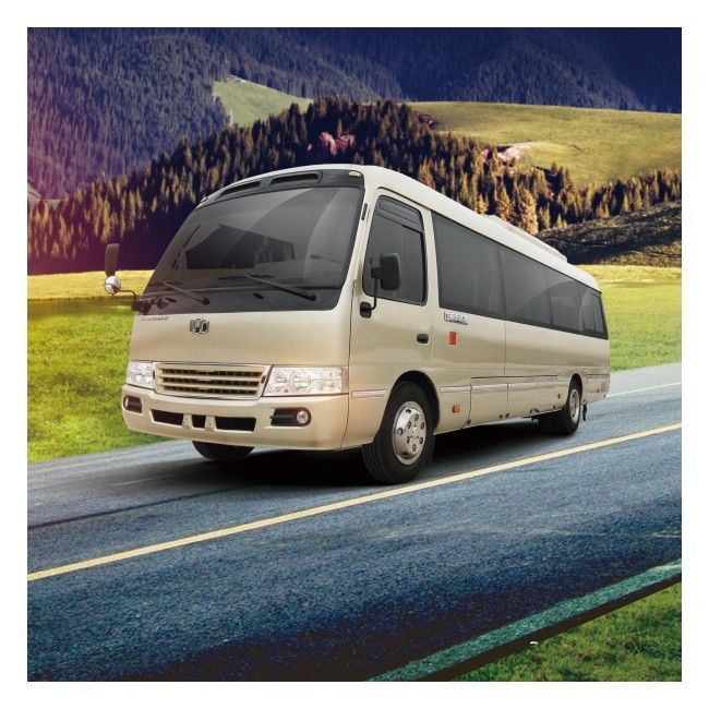 6m de Energie van 19 Zetelszev bus LHD winnen Zuiver Elektrisch Mini Bus terug 89,7 KWu